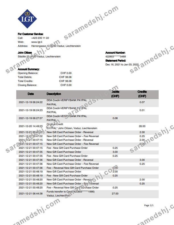 Liechtenstein LGT bank statement template in Word and PDF format